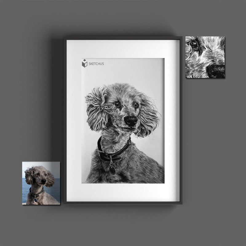 Hundeportraits zeichnen lassen - Hundezeichnung